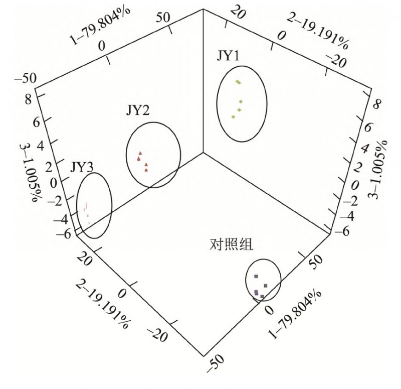 图6