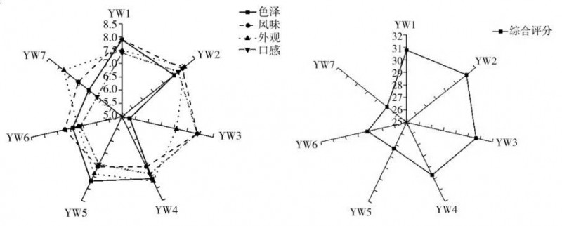 微信图片_20250624090202