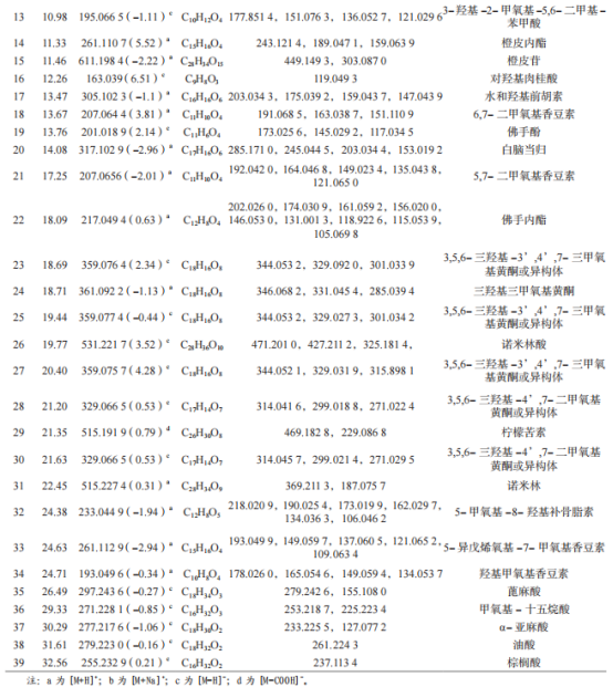 微信图片_20250709152047