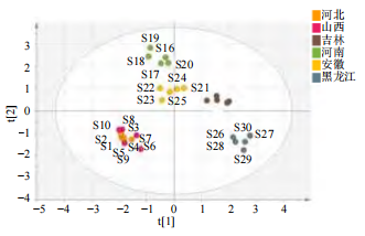 微信图片_2025-11-21_170500_086
