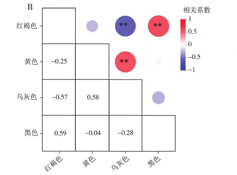 微信图片_2025-11-24_172935_736