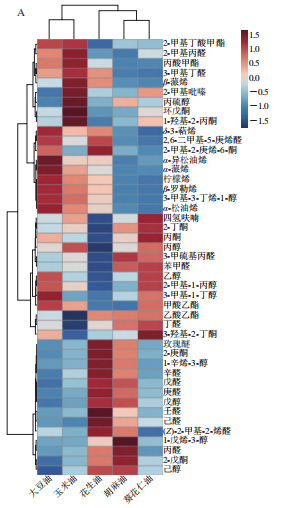 微信图片_2026-01-27_151031_899