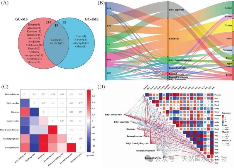 微信图片_2026-04-03_164734_117