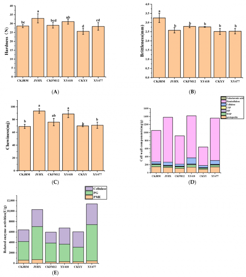 微信图片_2026-04-07_133156_510