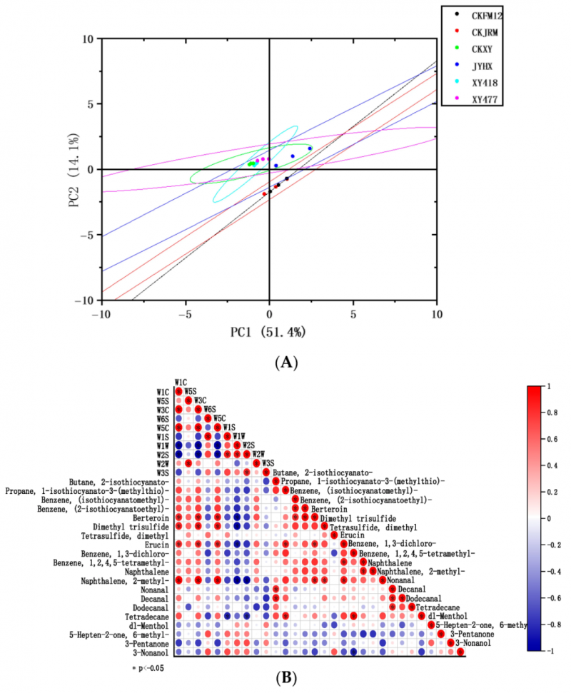 微信图片_2026-04-07_133210_774